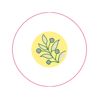 Circle Other Circle Other