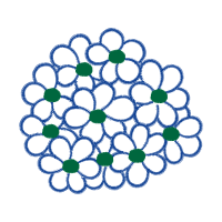 Circle Other Circle Other