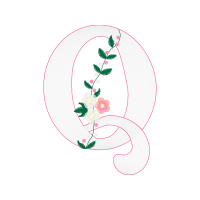 Circle Other Circle Other