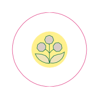 Circle Other Circle Other