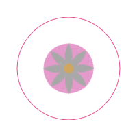 Circle Other Circle Other