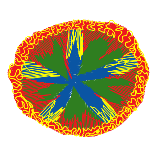 Circle Other Circle Other