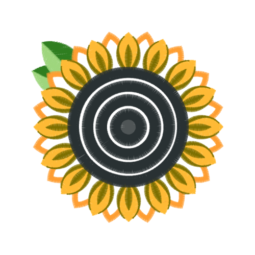 Circle Other Circle Other