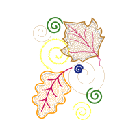 Circle Other Circle Other