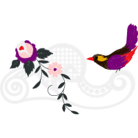 Common Blackbird Other Common Blackbird Other