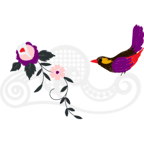 Common Blackbird Other Common Blackbird Other