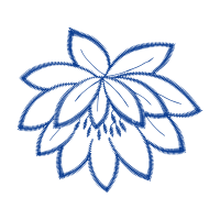 Common Sunflower Other Common Sunflower Other