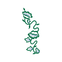 Coral Reef Snakes Other