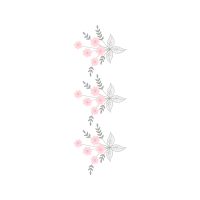 Cow Parsley Other Cow Parsley Other