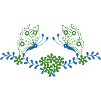 Cow Parsley Other Cow Parsley Other