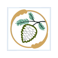 Creative Arts Other Creative Arts Other