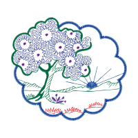 Darwin And The Theory Of Evolution Other