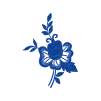 Delphinium Other Delphinium Other