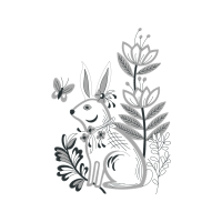 Domestic Rabbit Other