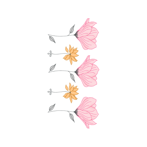 Drawing Other Drawing Other