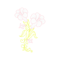 Drawing Other Drawing Other