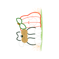 Drawing Other Drawing Other