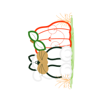 Drawing Other Drawing Other