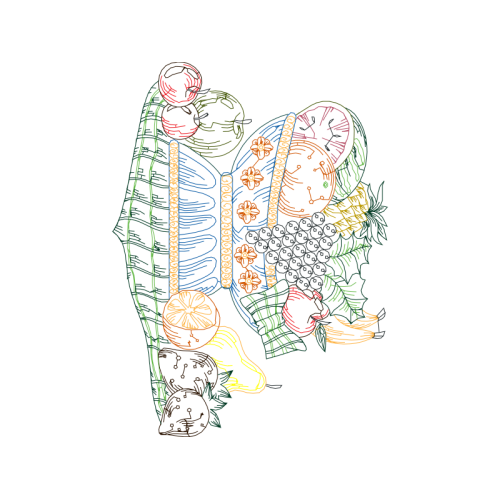 Drawing Other Drawing Other