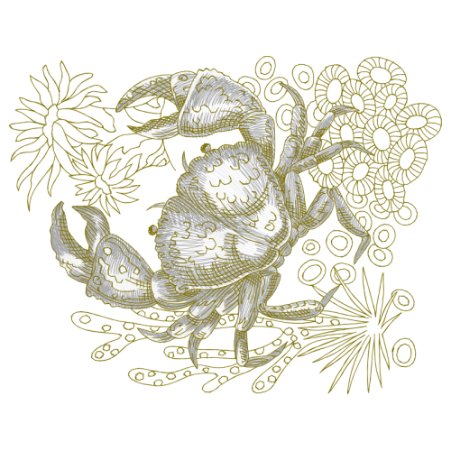 Drawing Other Drawing Other