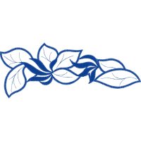 Drawing Other Drawing Other