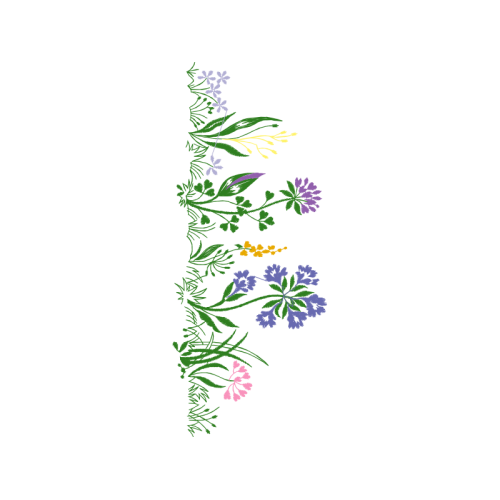 Drawing Other Drawing Other