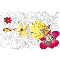 Drawing Other Drawing Other