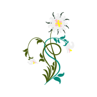 Drawing Other Drawing Other