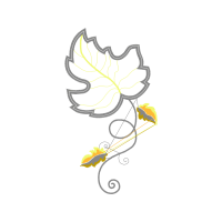 Drawing Other Drawing Other