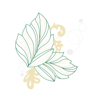 Drawing Other Drawing Other