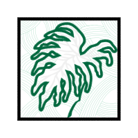 Drawing Other Drawing Other