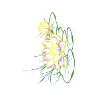 Drawing Other Drawing Other