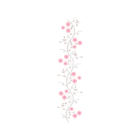 Drawing Other Drawing Other