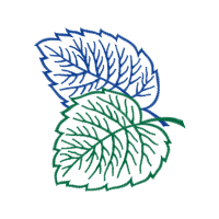 Drawing Other Drawing Other