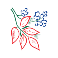 Drawing Other Drawing Other