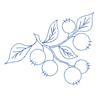 Drawing Other Drawing Other