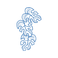 Drawing Other Drawing Other