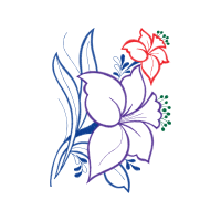 Drawing Other Drawing Other