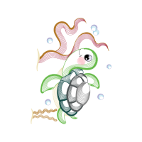 Drawing Other Drawing Other