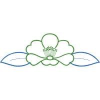 Drawing Other Drawing Other