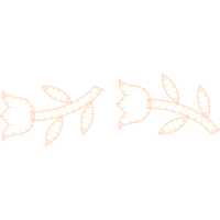 Drawing Other Drawing Other