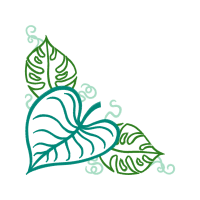 Drawing Other Drawing Other