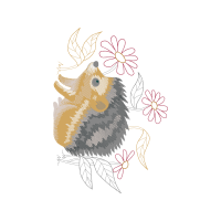 Drawing Other Drawing Other