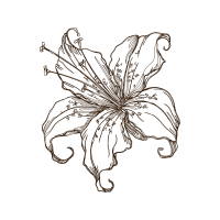 Drawing Other Drawing Other