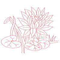 Drawing Other Drawing Other