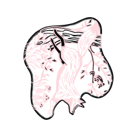 Drawing Other Drawing Other