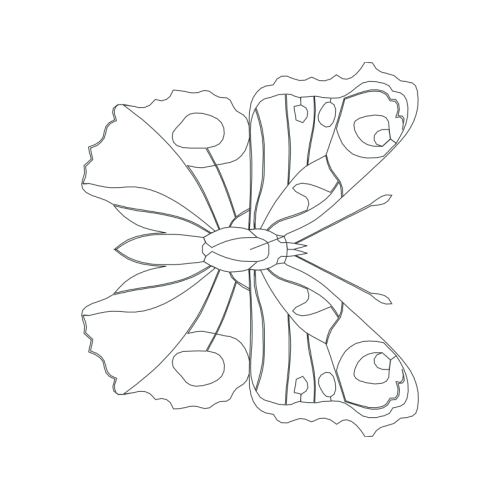 Drawing Other Drawing Other