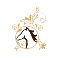 Drawing Other Drawing Other