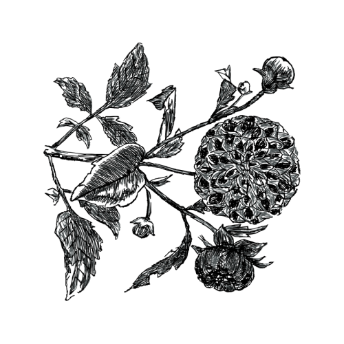 Drawing Other Drawing Other