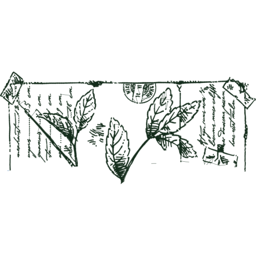 Drawing Other Drawing Other